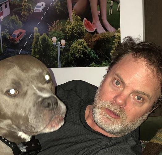 Rainn Wilson net worth