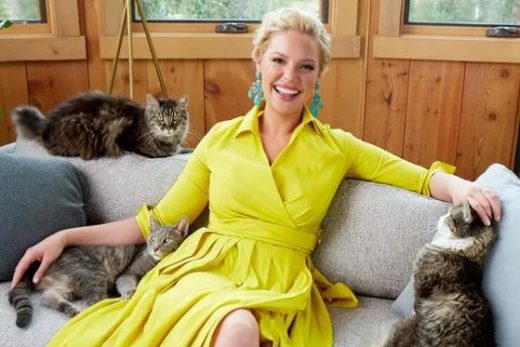 Katherine Heigl net worth