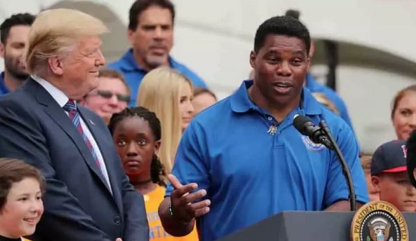 Senate Herschel Walker contract