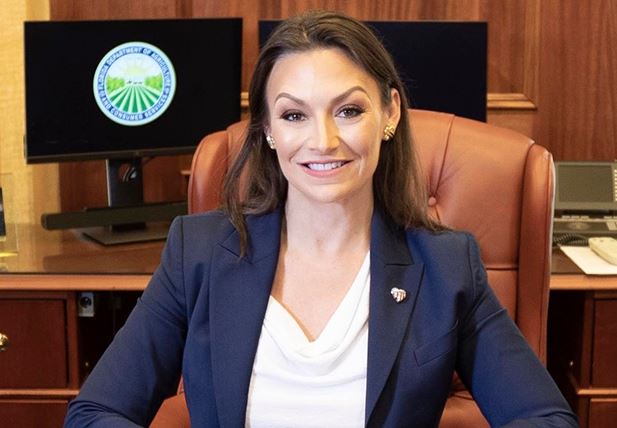 Nikki Fried wiki