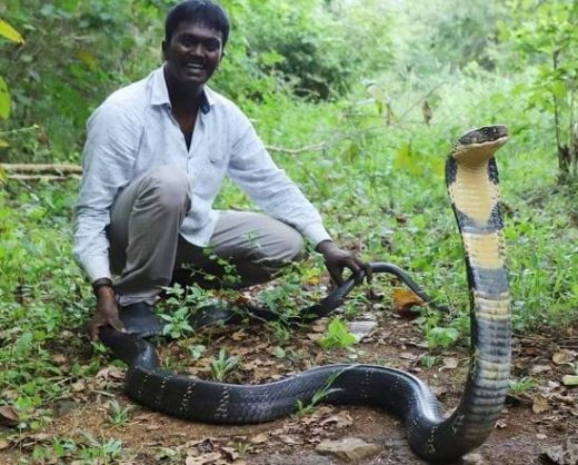 Indian snake expert Vava Suresh net worth, wife, salary, daughter, age