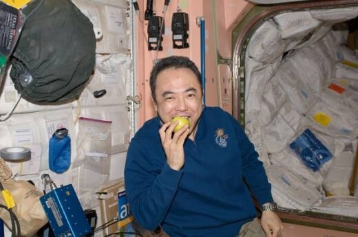 NASA Scientist Santoshi Furukawa