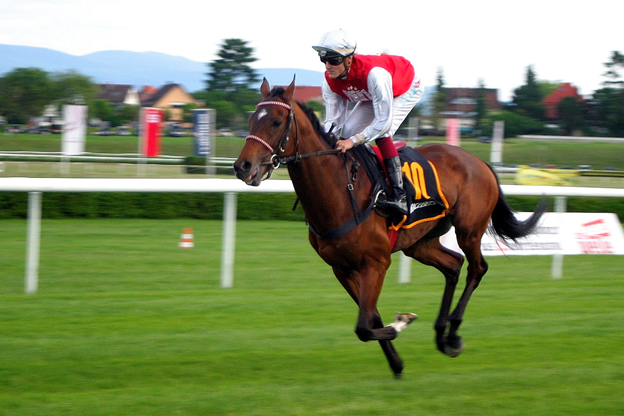 horse racing