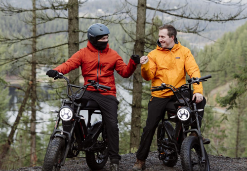 Mountain electric bike