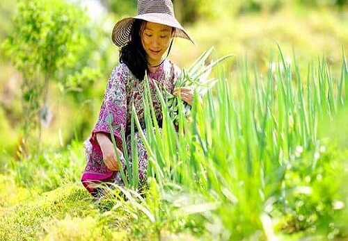 South Korea, Aromi has broken with tradition