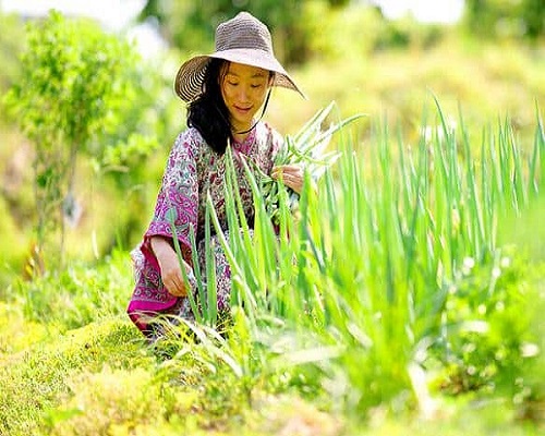 South Korea, Aromi has broken with tradition
